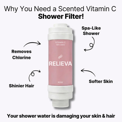 Vitamin C Shower Filter